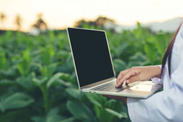 Website content marketing for agricultural businesses.