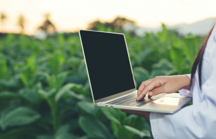 Website content marketing for agricultural businesses.