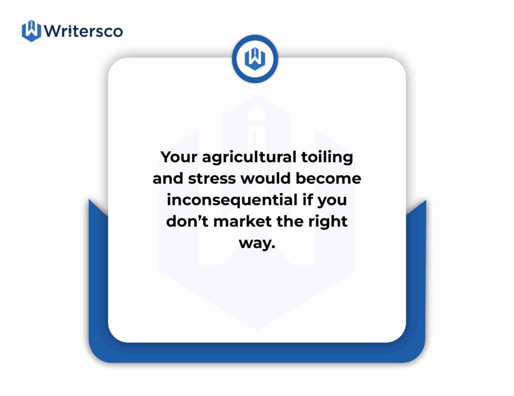 Your agricultural toiling would become inconsequential if you don't market the right way.